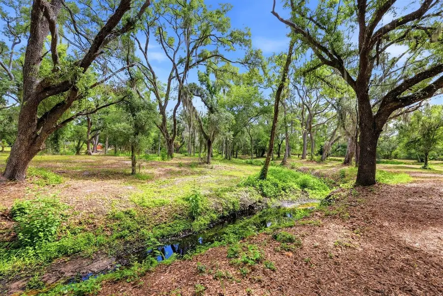 County Road 675, Myakka City, FL 34251 - #3