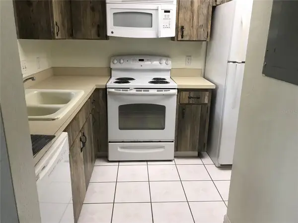 13610 S Village Drive #4103, TAMPA, FL 33618