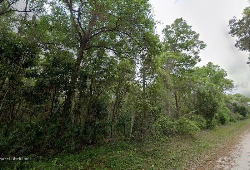 88 NE 463rd Avenue, Old Town, FL 32680 - #1