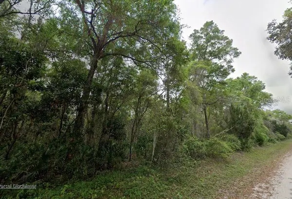 88 NE 463rd Avenue, OLD TOWN, FL 32680