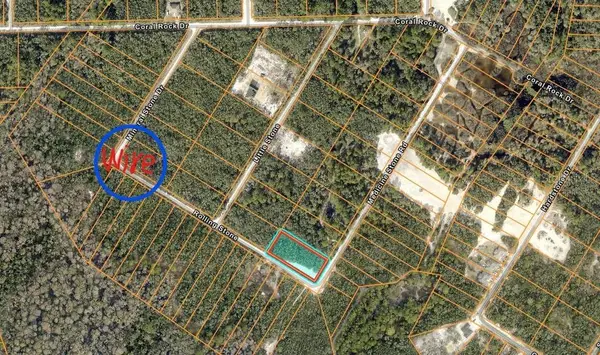 20122 Medicine Stone #10 Drive, WEBSTER, FL 33597