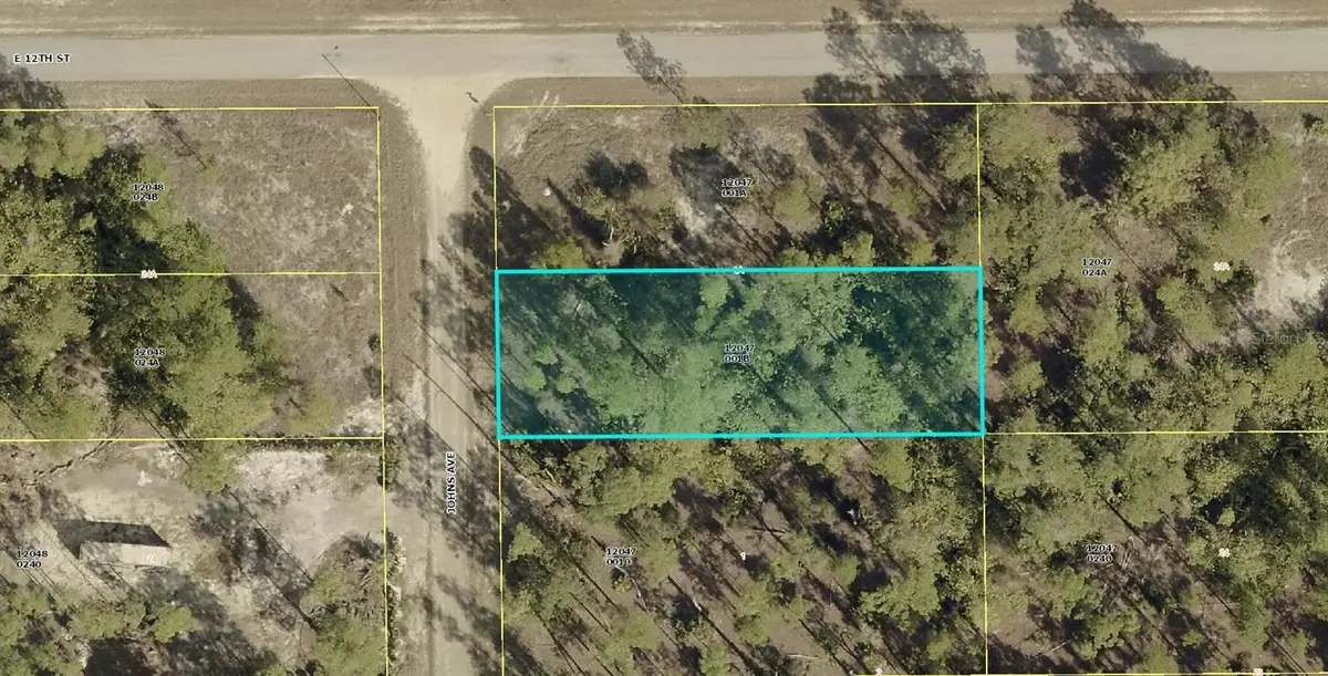 1124 Johns Avenue, Lehigh Acres, FL 33972 - #1