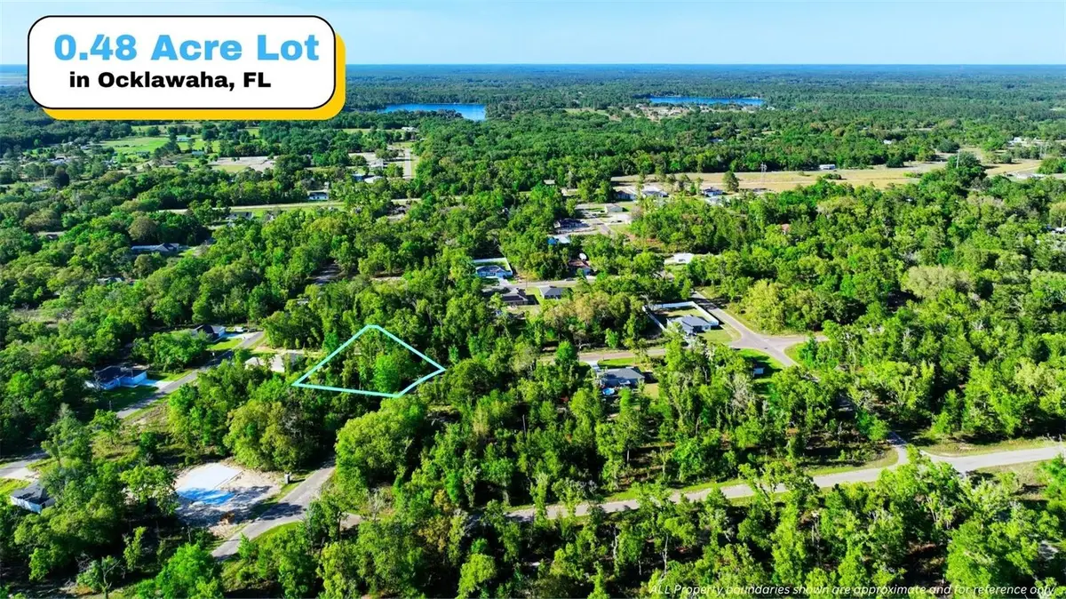 TBD Fisher Ln Way, Ocklawaha, FL 32179 - #1