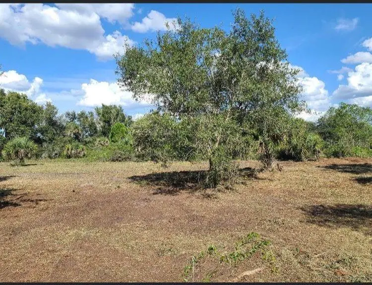 15996 NW 314th Street, Okeechobee, FL 34972 - #3