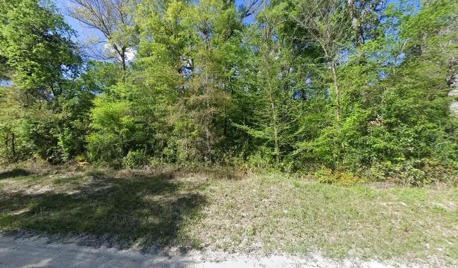 11 NE 717th St, Old Town, FL 32680 - #2
