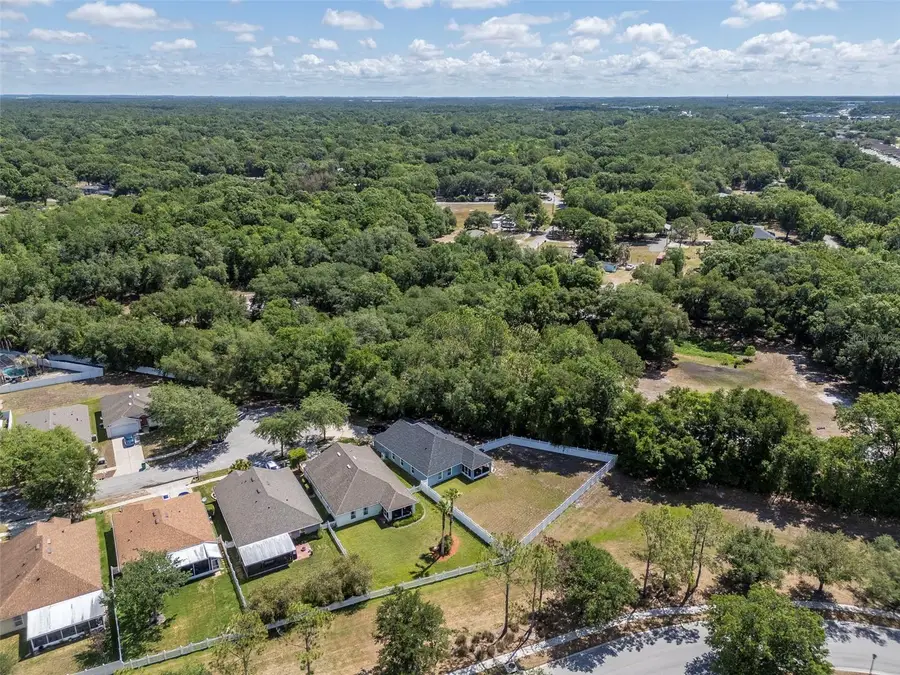 25944 Winning Colors Way, Wesley Chapel, FL 33544 - #3