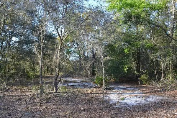 Grandville, HUDSON, FL 34669