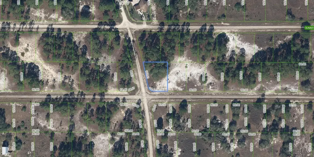 300 Moon River Avenue, Lake Placid, FL 33852 - #1