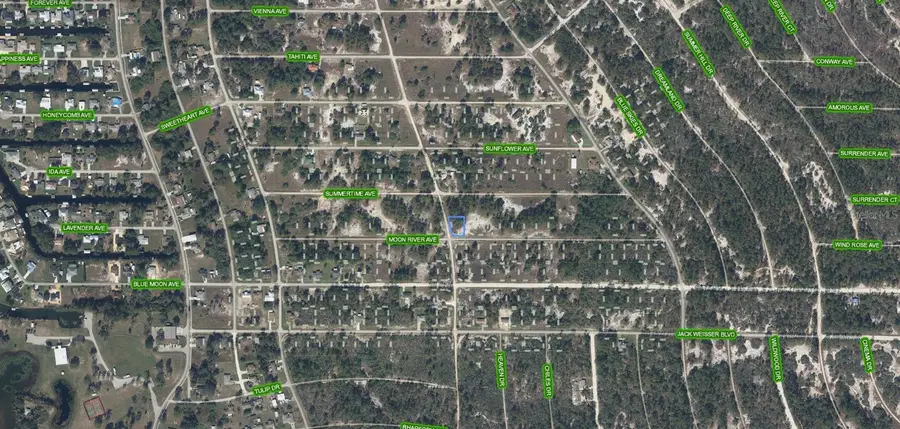 300 Moon River Avenue, Lake Placid, FL 33852 - #2