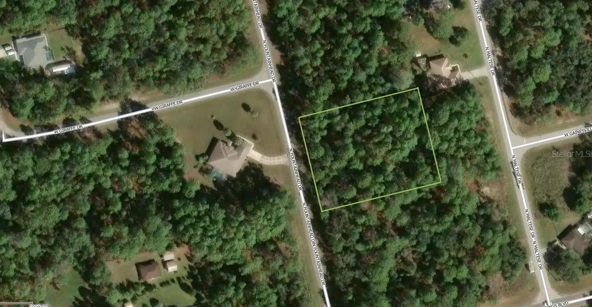 7381 N Fountainhead Drive, Citrus Springs, FL 34433 - #1