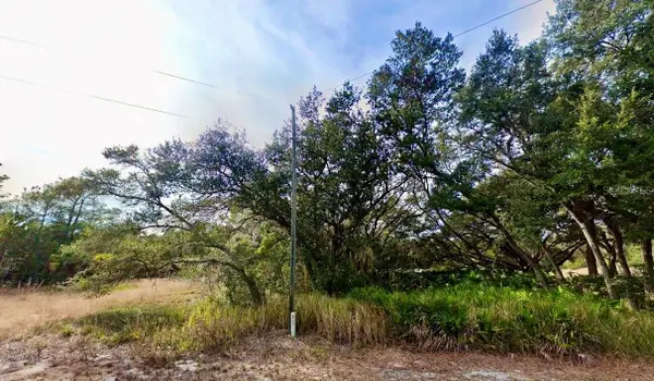 175 Fisher Ln Court, OCKLAWAHA, FL 32179