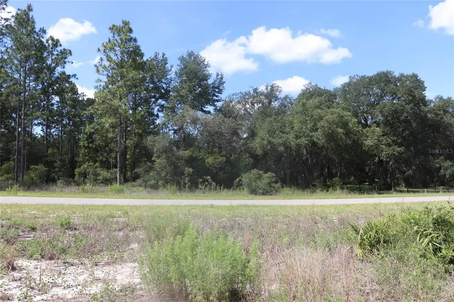 TBD Se 114th Place, Dunnellon, FL 34431 - #2