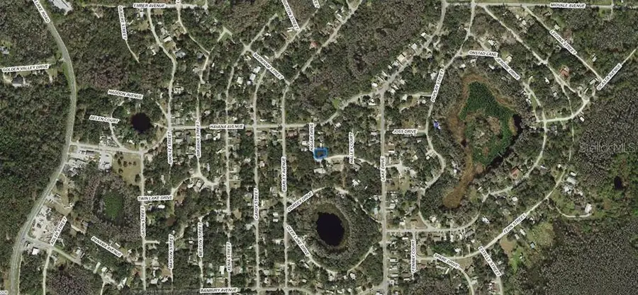 17-25-21-011.0-192.00-007 Hagar Drive, New Port Richey, FL 34654 - #2