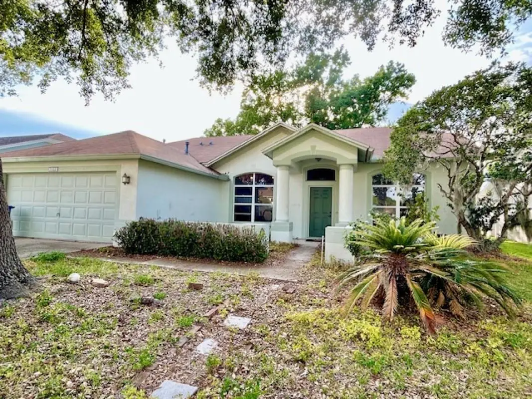 1135 Big Sky Drive, Wesley Chapel, FL 33543 - #1