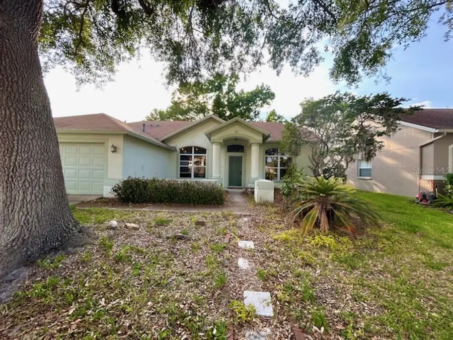 1135 Big Sky Drive, Wesley Chapel, FL 33543 - #2