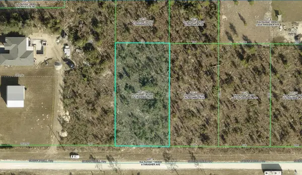 Scissorbill Avenue Lot #18, WEEKI WACHEE, FL 34614