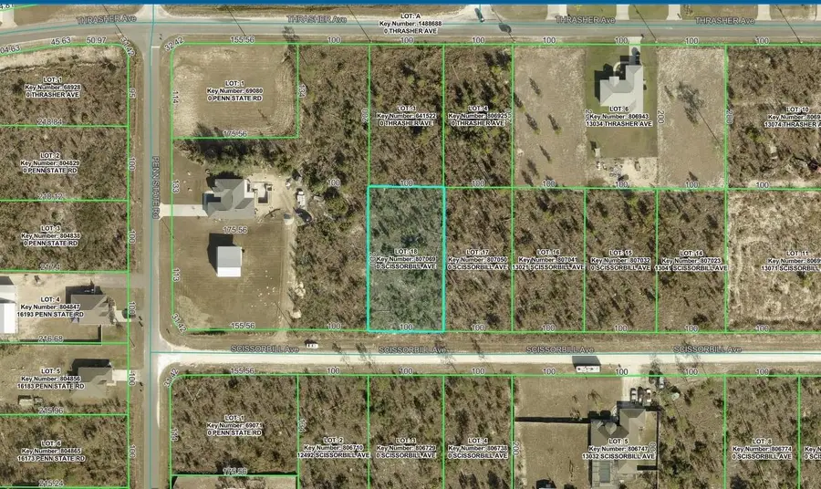 Scissorbill Avenue Lot #18, Weeki Wachee, FL 34614 - #2