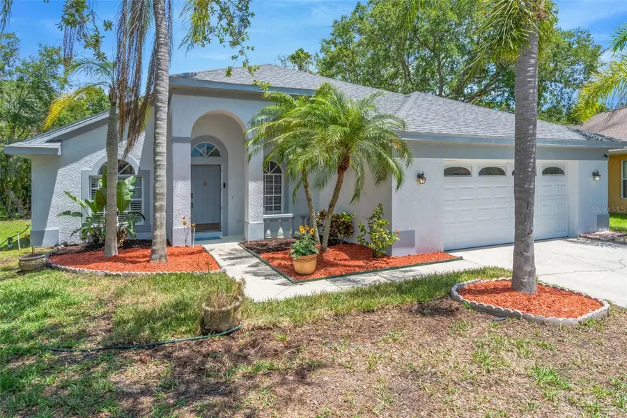 368 Tavernier Circle, Oldsmar, FL 34677 - #3