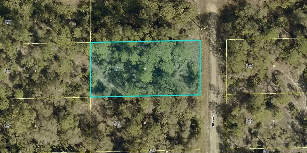 1521 Henry Avenue, Lehigh Acres, FL 33972 - #1