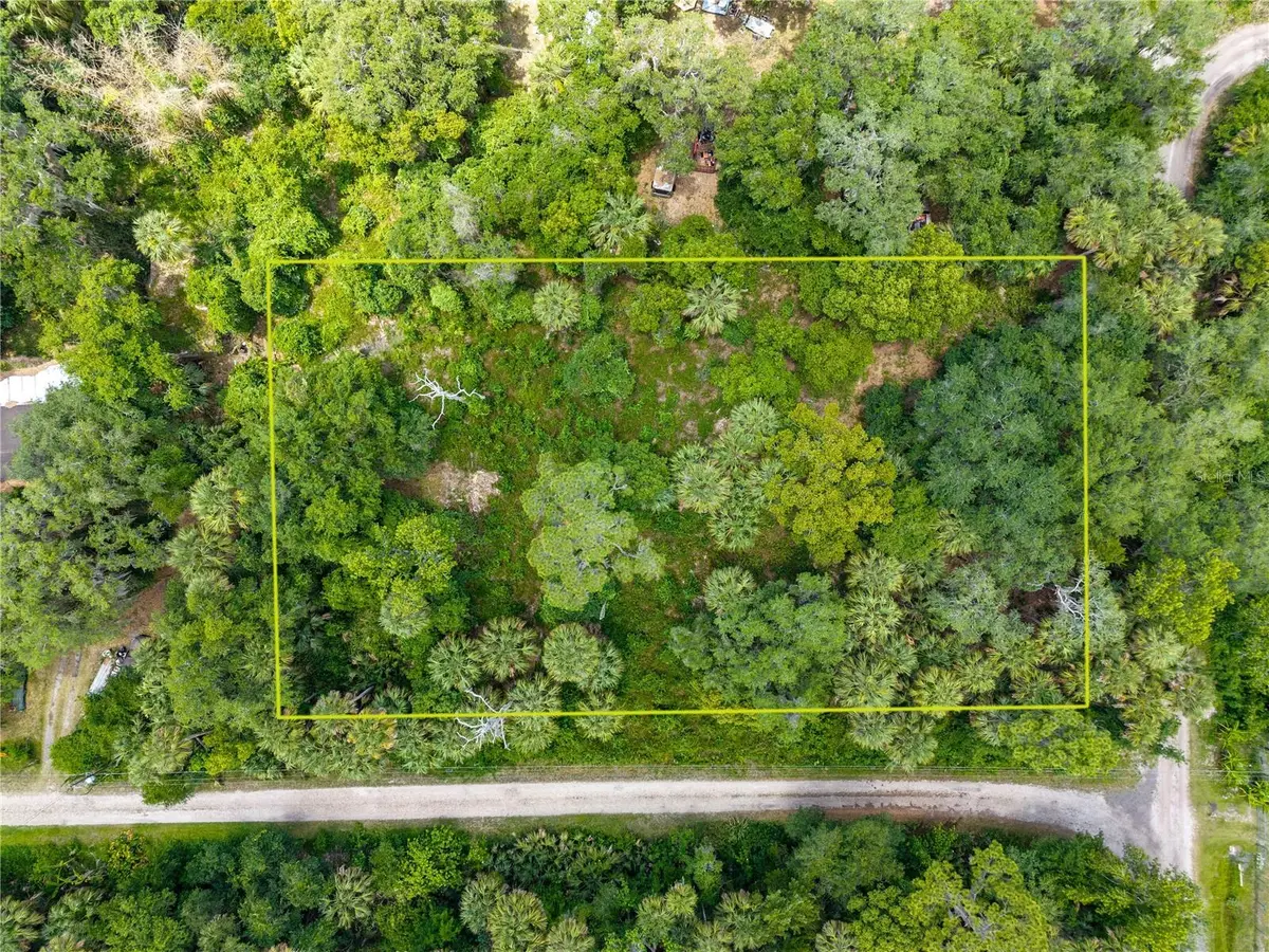 Swamp Lane, Geneva, FL 32732 - #1