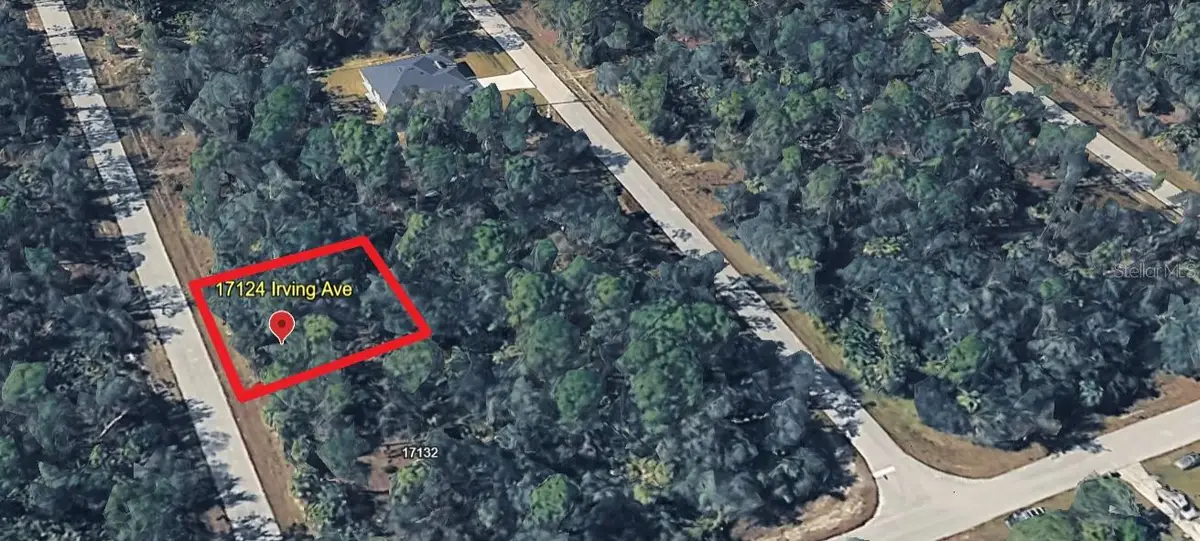 17124 Irving Avenue, Port Charlotte, FL 33948 - #1