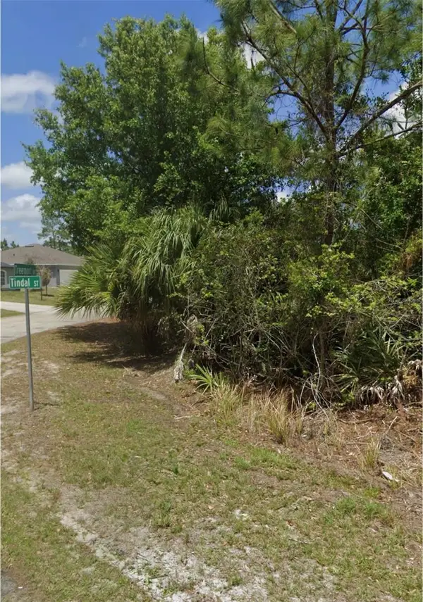 Tindal Street Sw, PALM BAY, FL 32908