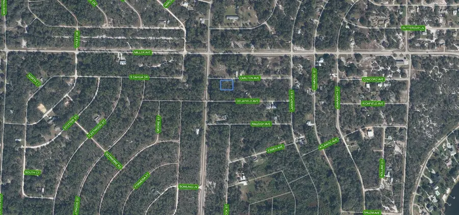 3154 Carlton Avenue, Lake Placid, FL 33852 - #2