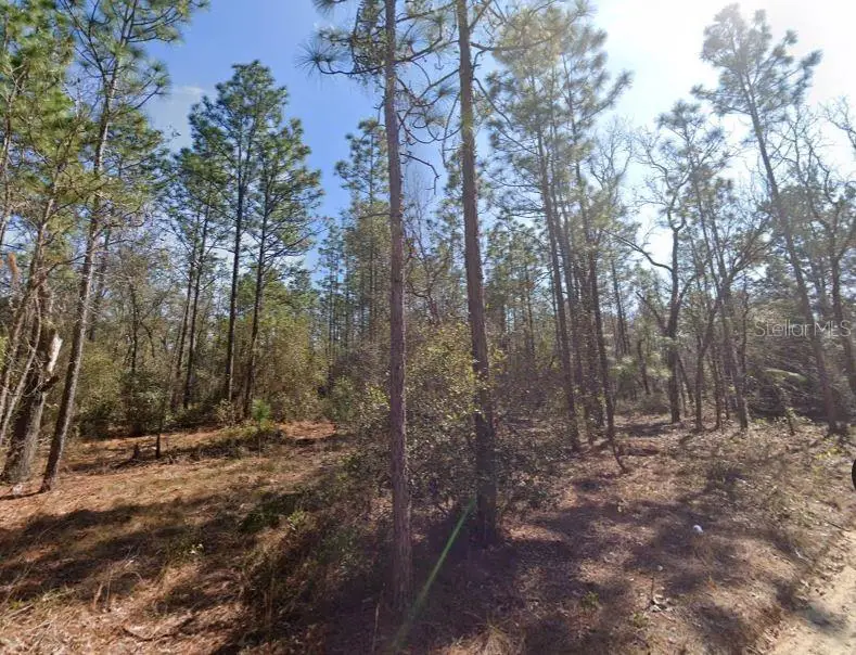 Hills Road, Melrose, FL 32666 - #2