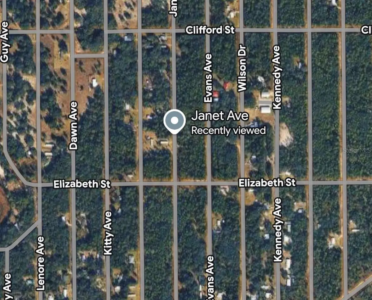 Janet Ave, Interlachen, FL 32148 - #1