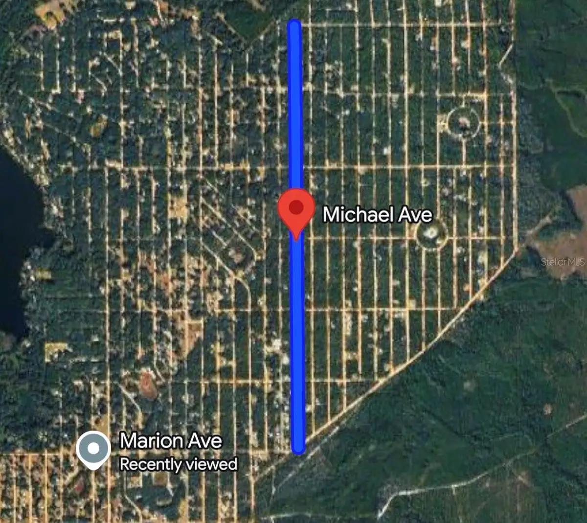 Michael Ave, Interlachen, FL 32148 - #1