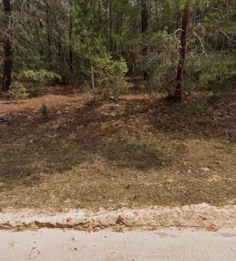 Michael Ave, Interlachen, FL 32148 - #3