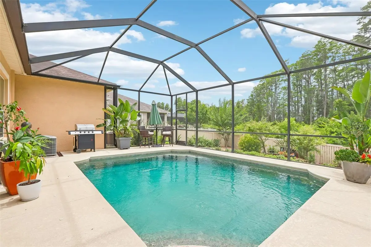20932 Amanda Oak Court, Land O Lakes, FL 34638 - #1