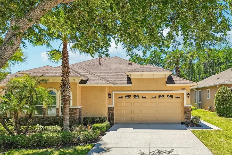 20932 Amanda Oak Court, Land O Lakes, FL 34638 - #2