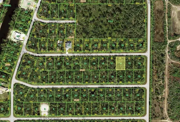14239 Darwin Avenue, PORT CHARLOTTE, FL 33953
