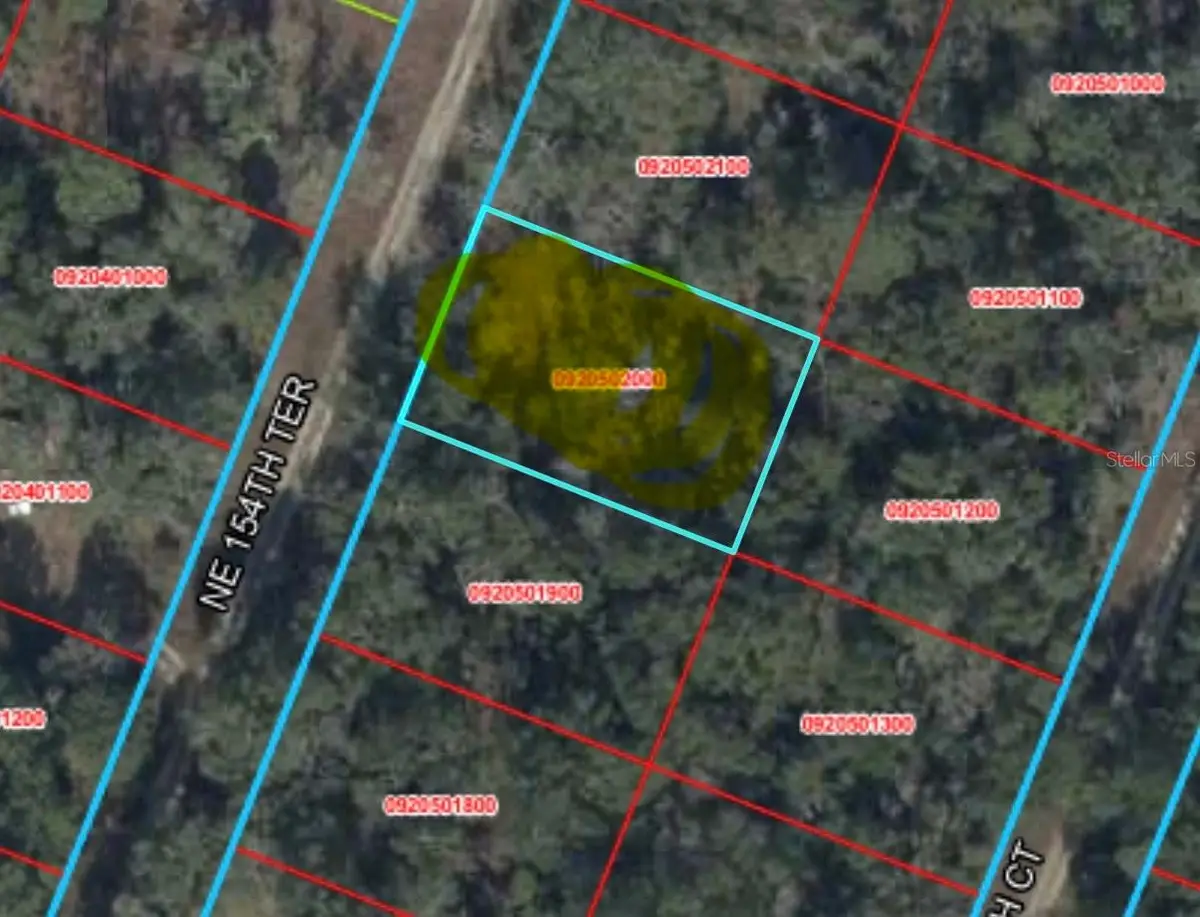 NE 154 Terrace, Williston, FL 32696 - #1