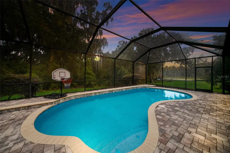 17463 New Cross Circle, Lithia, FL 33547 - #2