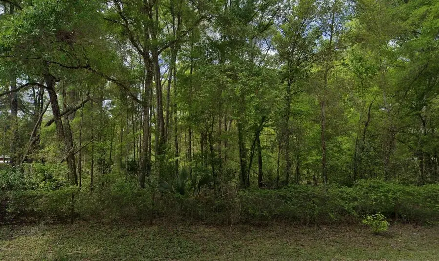 350 NE 644th Street, Old Town, FL 32680 - #2
