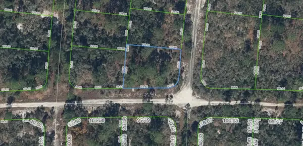 300 Rainbow Drive, LAKE PLACID, FL 33852