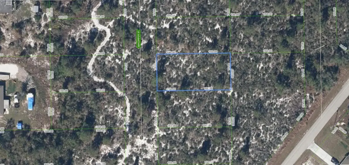239 Sandpiper Street, Lake Placid, FL 33852 - #1