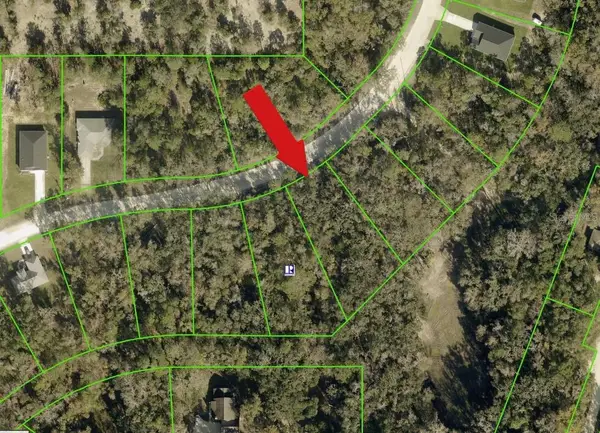 14398 Chimney Swift Road, WEEKI WACHEE, FL 34614