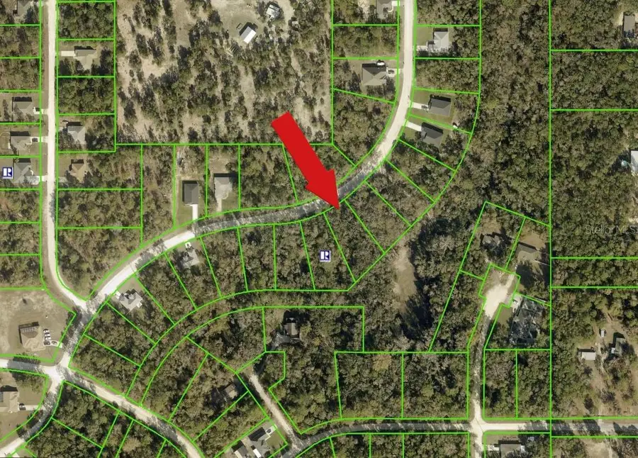 14398 Chimney Swift Road, Weeki Wachee, FL 34614 - #2