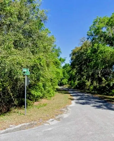 Sequoia Drive #Lot 5, Ocklawaha, FL 32179 - #1