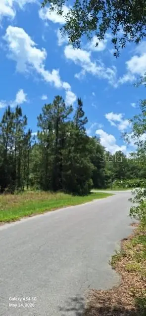Lot 15 Ficher Lane, Ocklawaha, FL 32179 - #3