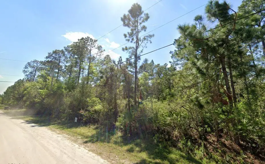 2834 Orange Blossom Street, Bunnell, FL 32110 - #1