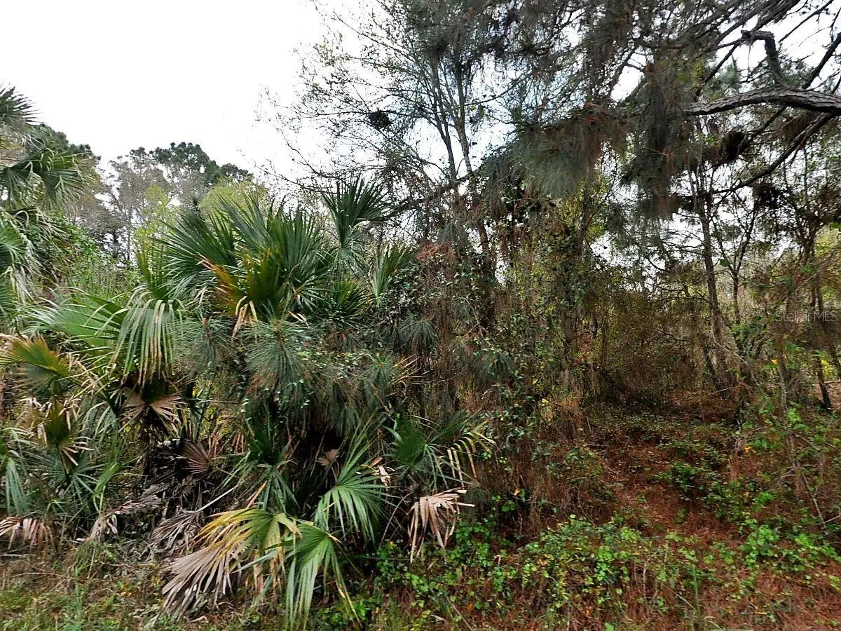 Henning Street, North Port, FL 34288 - #1