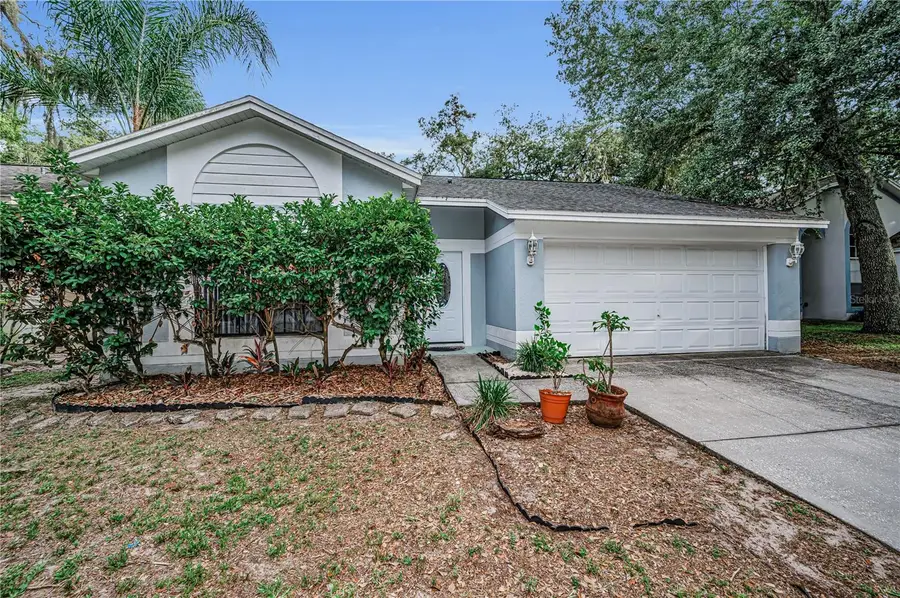 4113 Quail Briar Drive, Valrico, FL 33596 - #2