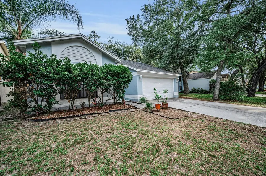 4113 Quail Briar Drive, Valrico, FL 33596 - #3
