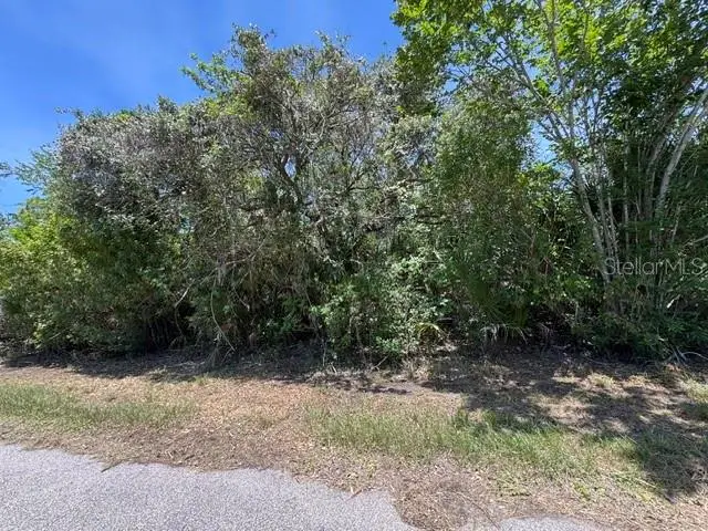 14427 Molla Avenue, Port Charlotte, FL 33953 - #3