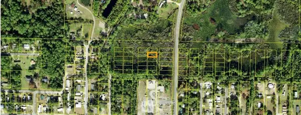 1309 Copesetic Street, CARRABELLE, FL 32322
