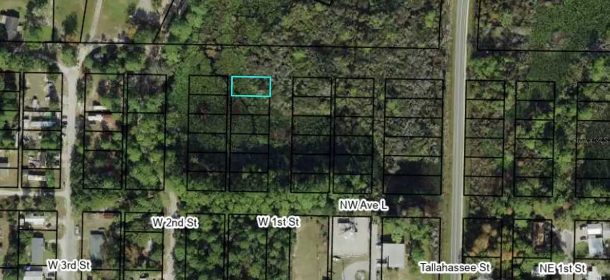 1311 W 1st Street, Carrabelle, FL 32322 - #1